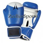 Champ Boxing gloves