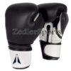 Champion training Boxing Gloves