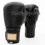 Champion boxing gloves