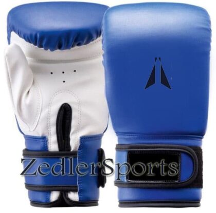 ZS Boxing Bag mitts 027