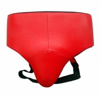 ZS Groin Guard 087