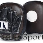 ZS Punching Mitts 052