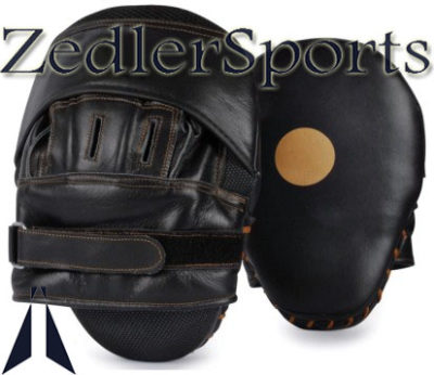 ZS Punching Mitts 050