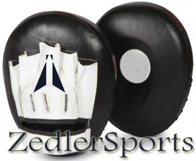 ZS Punching Mitts 056